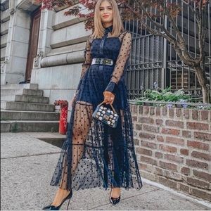 Zara Tulle dot dress